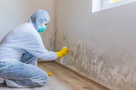 Why You Should Choose Our Mold Remediation Services in Elizabethtown, NC